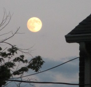 ???????????????????????????????